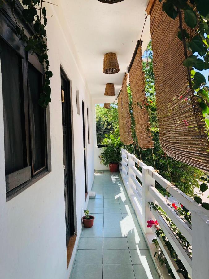 Chaak Vandrarhem Puerto Escondido  Exteriör bild