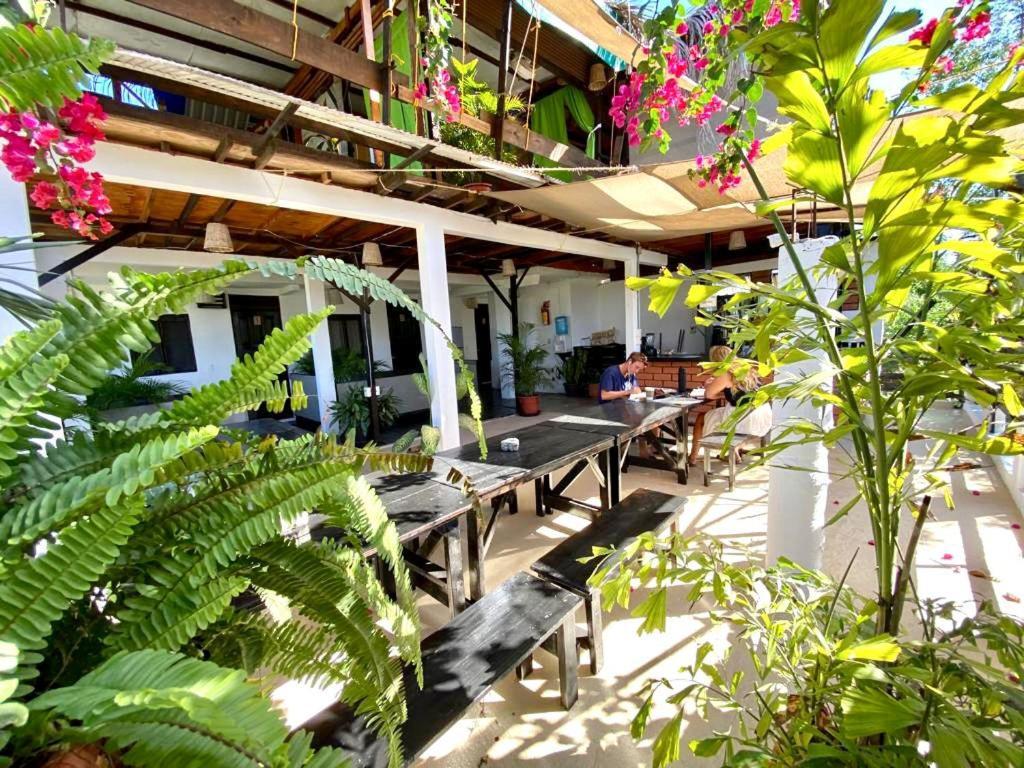 Chaak Vandrarhem Puerto Escondido  Exteriör bild